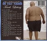 Elephant In The Sand