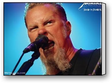 Funnyone Custom Modern Wall Art Decoration for Home Metallica Canvas Prints