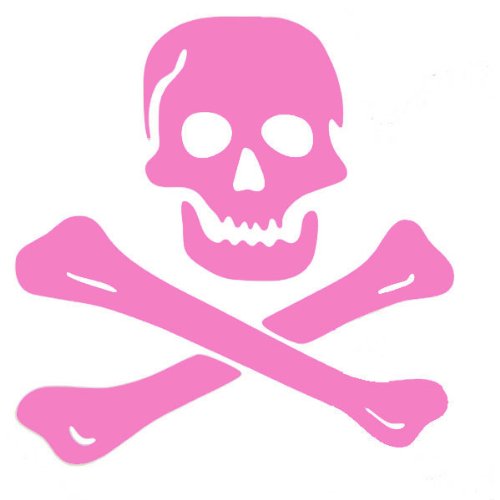 Pirate Skull and Crossbones Large Wall Decal Sticker Pink 22