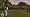 Tiger Woods PGA Tour 10 (Wii) with Wii MotionPlus Accessory