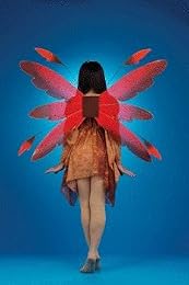 autumn fairy wings