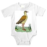 Onesie with pigeon, yellow, brown, bird