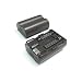 Canon BP-511 Replacement Battery for Canon Optura Pi, ZR-10, ZR-20, ZR-25MC, ZR-30MC, ZR-40, ZR-45MC, ZR-50MC, ZR-60, ZR-65MC, ZR-70MC