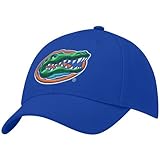 Nike Florida Gators Royal Blue Swoosh Flex-Fit Hat