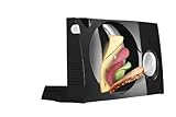 Produkt-Bild: Siemens MS42006N Allesschneider mit Universal-Wellenschliffmesser, anthrazit