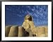 Sphinx Paws and Stella at Giza Pyramids Complex, Egypt Collections Framed Art Poster Print by Claudia Adams, 39x31