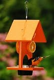 Songbird Essentials SERUBFJF Fruit Jelly Oriole Bird Feeder
