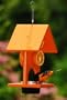 Songbird Essentials SERUBFJF Fruit Jelly Oriole Bird Feeder