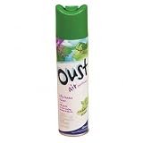 Oust Air Sanitizer, Outdoor Scent