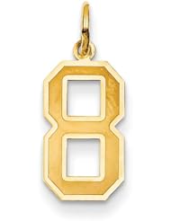 14k Yellow or White Gold Medium Satin Number 8 Charm