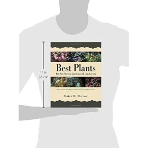 Best Plants for New Mexico Gardens and Landscapes: Keyed to Cities and Regions in New Mexico and Adjacent Areas, Revised and Expanded Edition