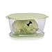 Kitchen & Housewares : PROGRESSIVE LKS-06 Lettuce Keeper