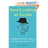 Here's Looking at Euclid: A Surprising Excursion Through the Astonishing World of Math