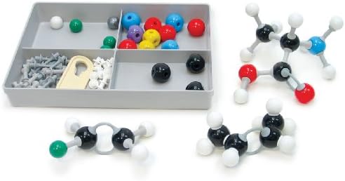 Class Set of 12 Organic Models