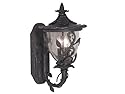 Kenroy Home 70203AP Meadow Large Wall Lantern with Clear Seeded Glass Shade, Antique Patina