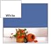 WHITE Straight
