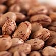 Cranberry Beans by ChefShop