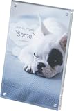 �ʐ^���� Acrylic Frame Some �i�A�N�����t���[�� �T���j �|�X�g��