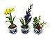 3pc Miniature Flower Clay Dollhouse Fairy Garden Mini Plant Trees Ceramic Paint Furniture Bundles Artificial Flowers Tiny Orchid #059