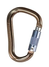 Black Diamond Rocklock Twistlock Carabiner