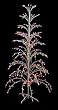 6' Multi-Color Lighted Christmas Cascade Twig Tree Outdoor Yard Art Decoration