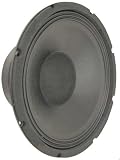 10' 100 WATT 4 OHM BIG SPEAKER