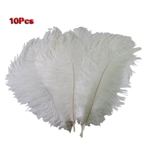 10pcs High Quality New Style Real Natural 10-12 Inch Ostrich Feathers Great Decorations (White)