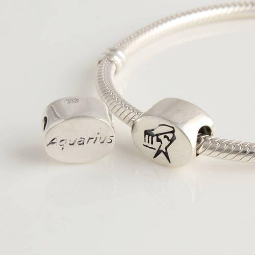 DUMAN 1pc 925 Sterling Silver Beads Mothers Day Gifts Aquarius Charms Zodiac Sign Beads Compatible with Pandora Chamilia Kay Troll European Bracelet