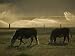 Farm Scene West of Chiloguin, Klamath Falls, Oregon Photographic Poster Print, 24x18