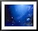 Space Illustration Titled Lumen Photography Framed Art Poster Print by Ron Russell, 31x25