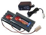 Two Tenergy 9.6V 2000mAh NiMH High Capacity Battery Packs with A 12V 300mah Simple Pack Charger for RC Car, Robots, Security