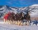 Winter Bliss 1000 Piece Jigsaw Puzzle