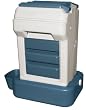 Bergan K-9 Cafe Tray-Pack, Colors Vary