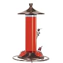 Birdscapes 710 Brushed Metal 12-Ounce Glass Hummingbird Feeder