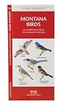 Montana Birds: An Introduction to Familiar Species (State Nature Guides)