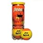 Penn Radical (Two-tone) Tennis Balls (Single Can)