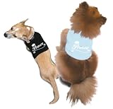 Prince Dog T-shirt by Ruff Ruff & Meow (Blue, XL)
