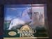 Treasured Horses Lipizzan