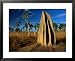 Termite Mounds in Grasslands, Hann River Crossing, Lakefield National Park, Australia Styles Framed Art Poster Print by Trevor Creighton, 31x25