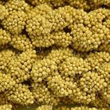 Higgins Snack Attack Spray Millet 5lb