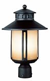IMAGE OF Trans Globe Lighting 5953 BK 15-Inch 1-Light Outdoor Medium Post Top Lantern, Black