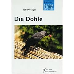 Die Dohle. Corvus monedula