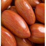 Davids Red Yellow Streaks Heirloom Organic Tomato Speckled Roman 30 Seeds per Pa