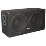 Seismic Audio - 215 Bass Guitar Speaker Cabinet 2x15 PA DJ 600 Watts Dual