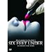 Six Feet Under - Gestorben wird immer, Die komplette erste Staffel (5 DVDs)