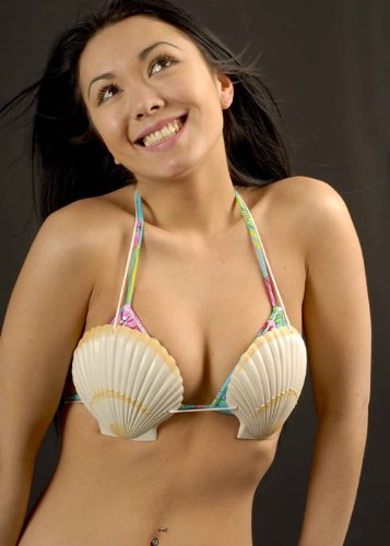 Deluxe Hawaiian Hula Shell Bra