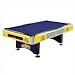 Denver Nuggets NBA Pool Table