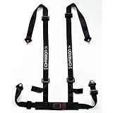 Corbeau 2 Inch Black 4-Point Bolt-In Harness Belt by Corbeau