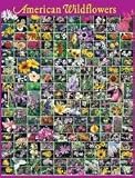  : White Mountain American Wildflowers Puzzle