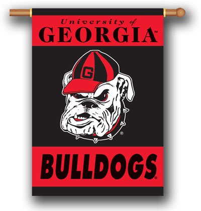 Georgia Outside House Banner